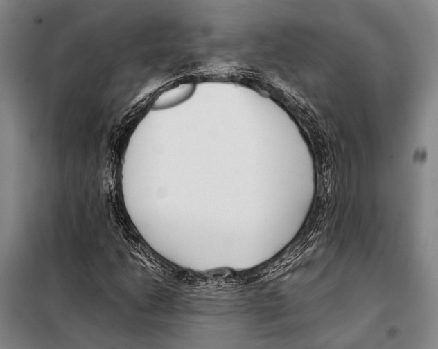 X0000097981206200804211029