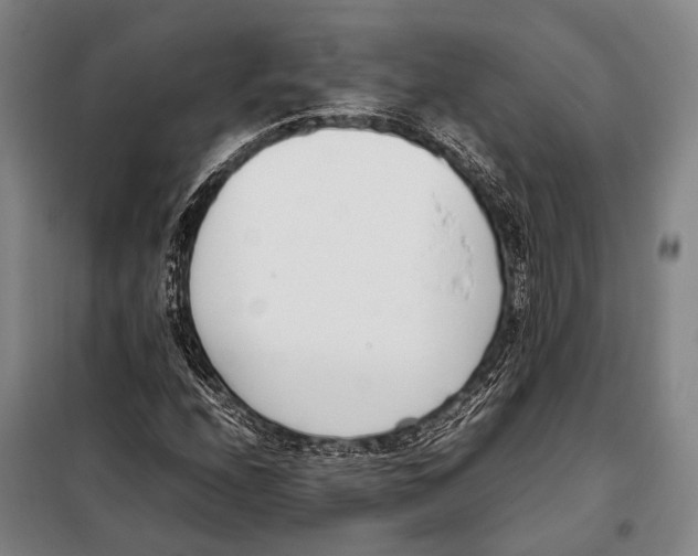 X0000097981208200804211029