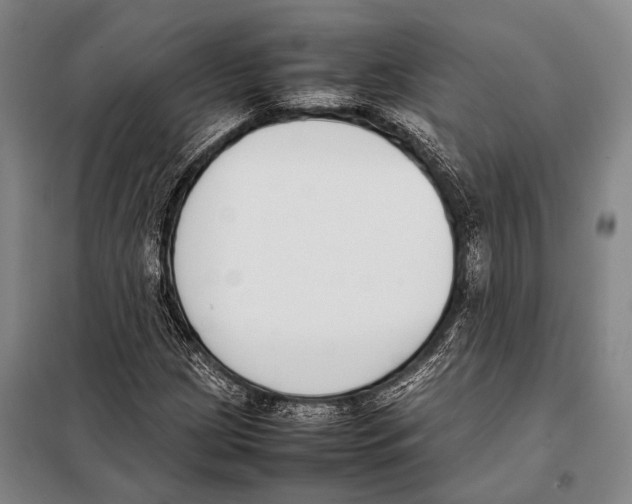 X0000097981209200804211029