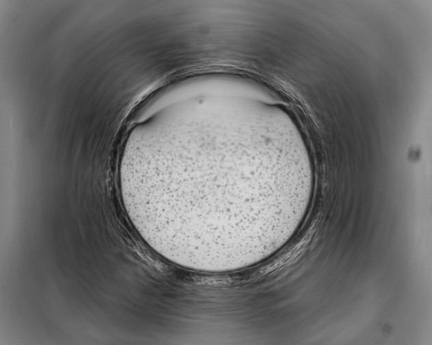 X0000097981210200804211029