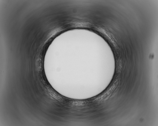 X0000097981211200804211029