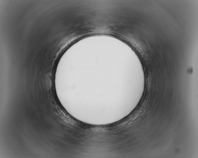 X0000097981212200804211029