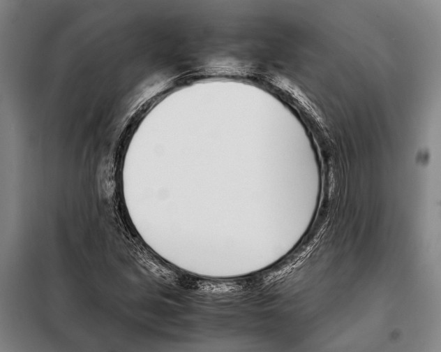 X0000097981213200804211029