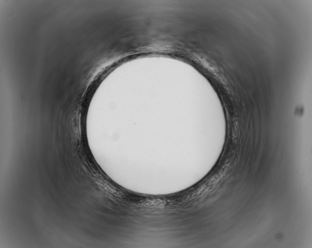 X0000097981214200804211029