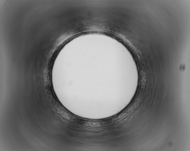 X0000097981215200804211029