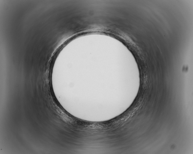 X0000097981216200804211029