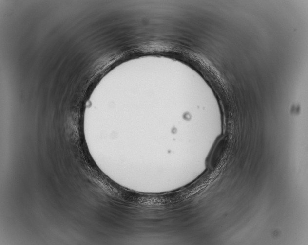 X0000097981217200804211029