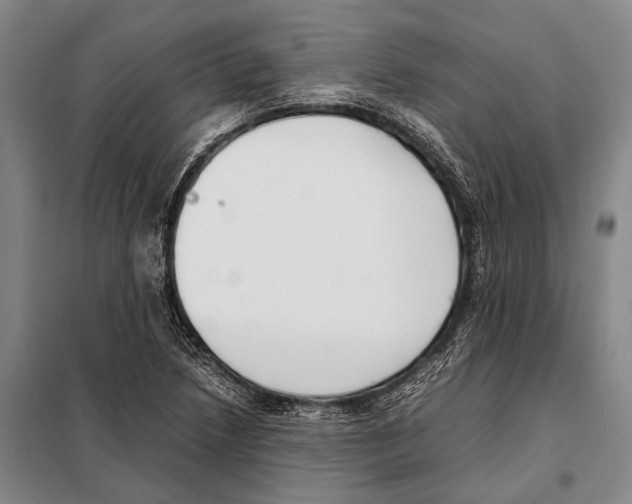 X0000097981218200804211029