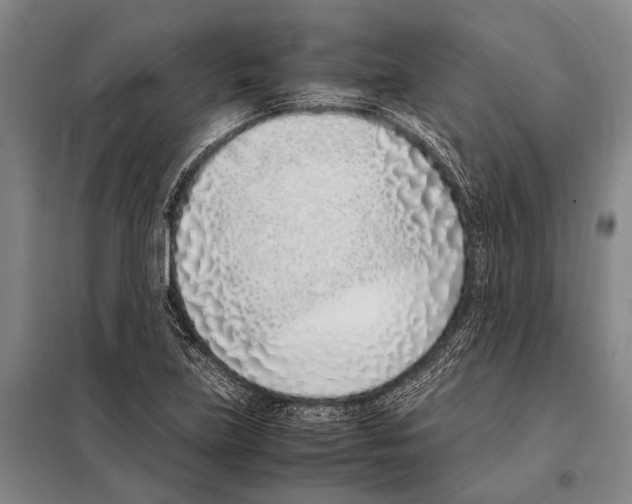 X0000097981219200804211029