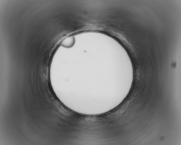 X0000097981220200804211029