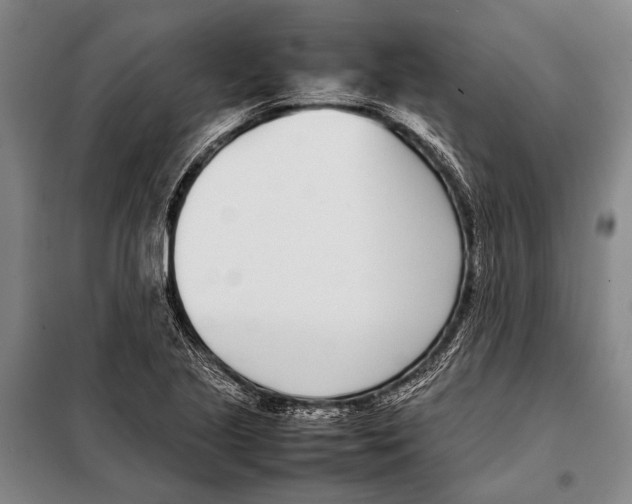 X0000097981221200804211029