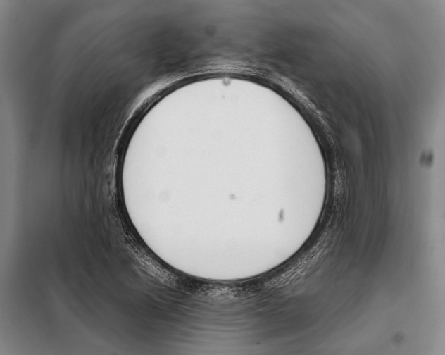 X0000097981222200804211029