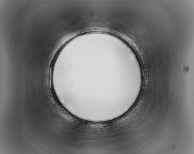 X0000097981223200804211029