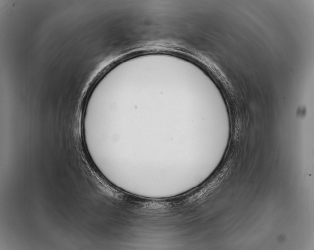 X0000097981224200804211029