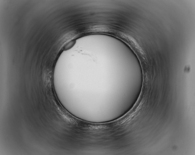 X0000097981225200804211029