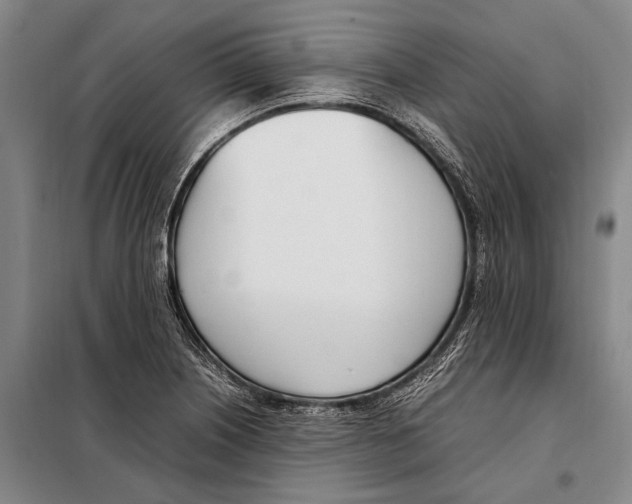 X0000097981226200804211029