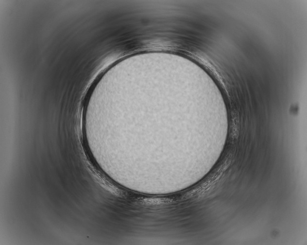 X0000097981227200804211029