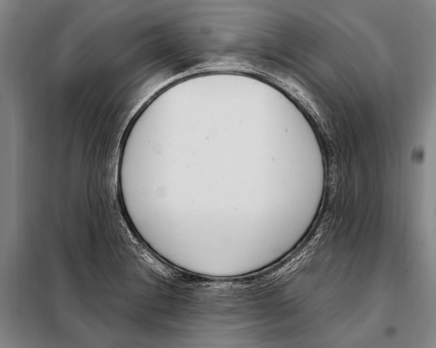 X0000097981228200804211029