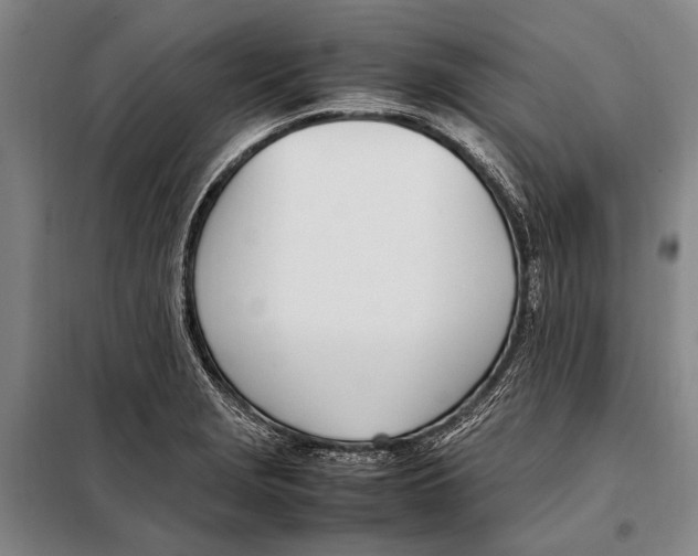 X0000097981229200804211029