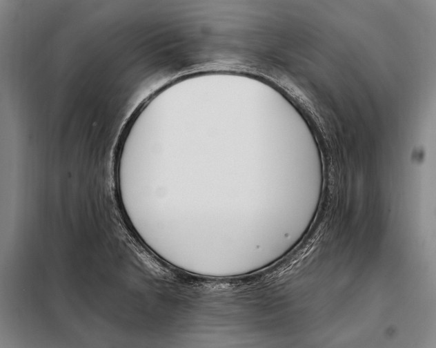 X0000097981230200804211029