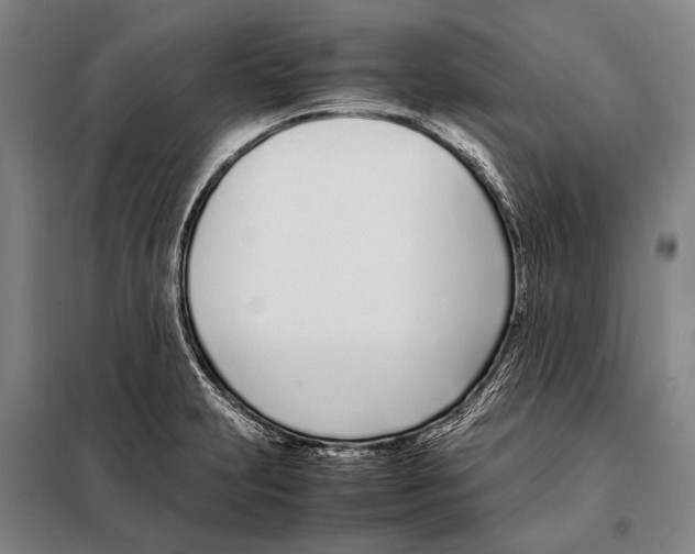 X0000097981231200804211029