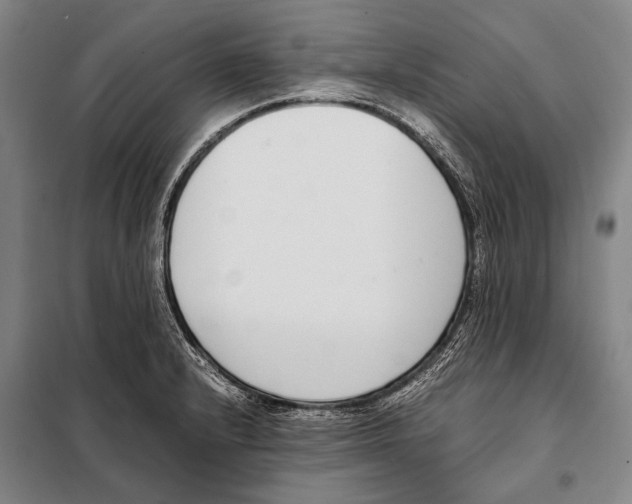 X0000097981232200804211029