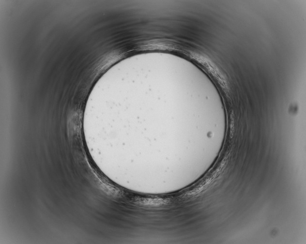 X0000097981233200804211029