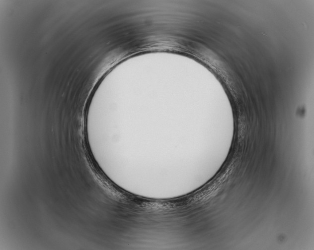 X0000097981234200804211029