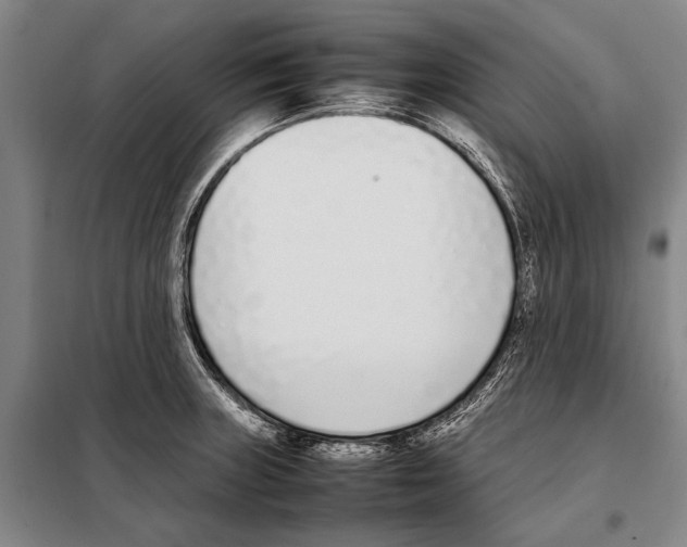 X0000097981235200804211029