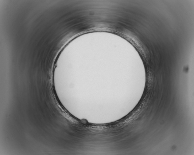 X0000097981236200804211029