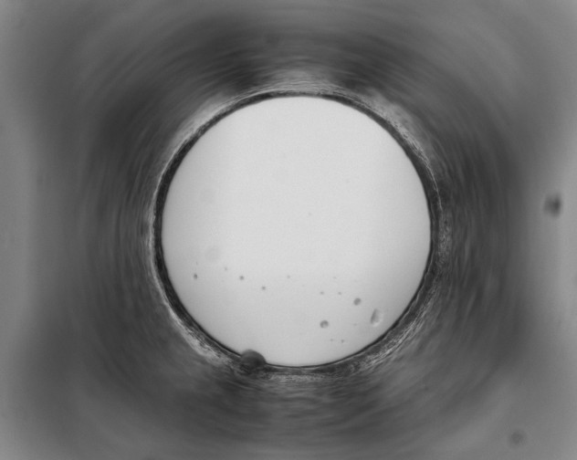 X0000097981237200804211029