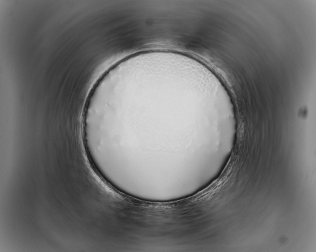 X0000097981239200804211029