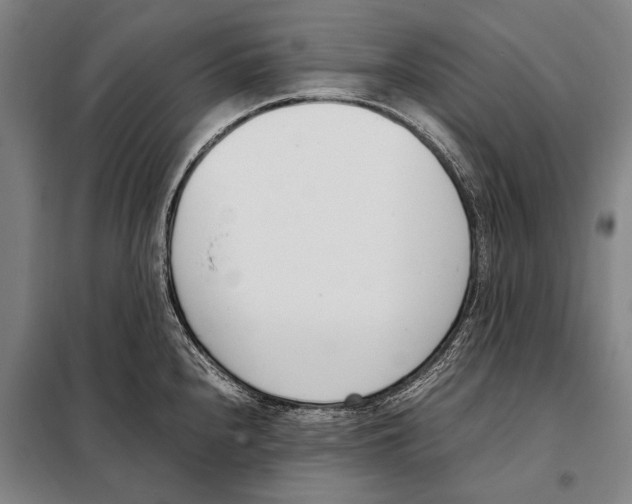 X0000097981240200804211030