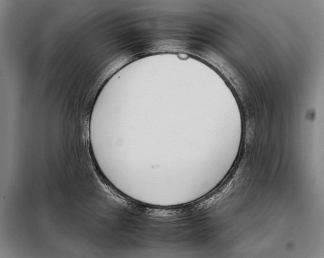 X0000097981241200804211030