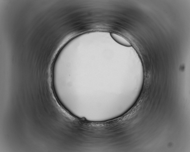 X0000097981243200804211030