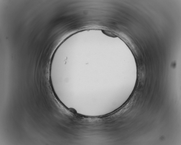 X0000097981244200804211030