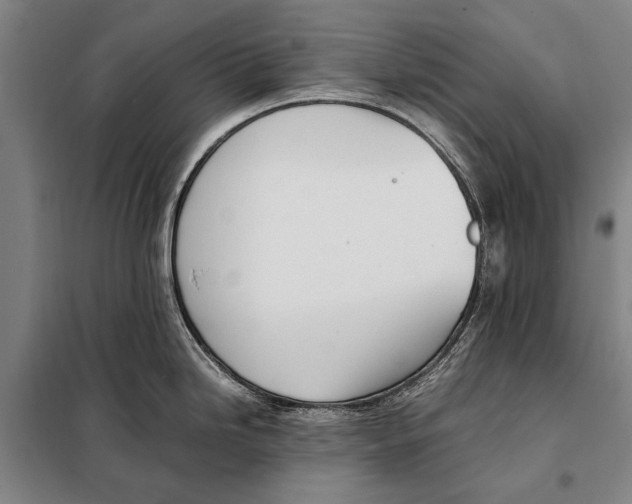 X0000097981246200804211030