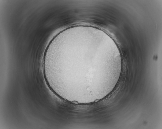 X0000097981247200804211030