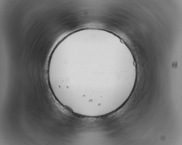 X0000097981248200804211030