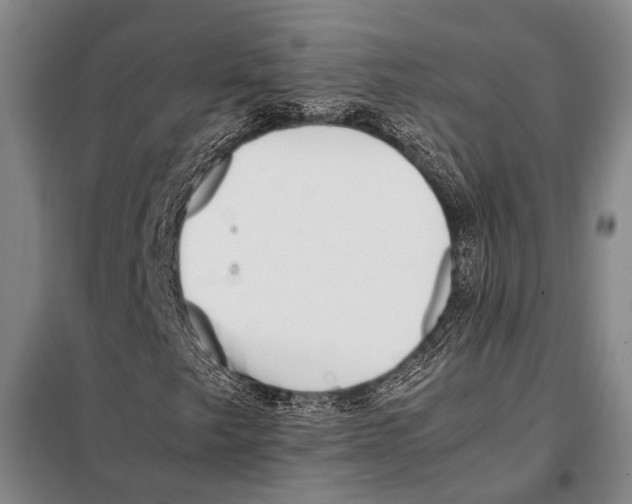 X0000097981249200804211029