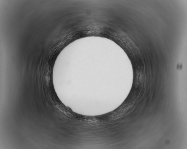 X0000097981250200804211029