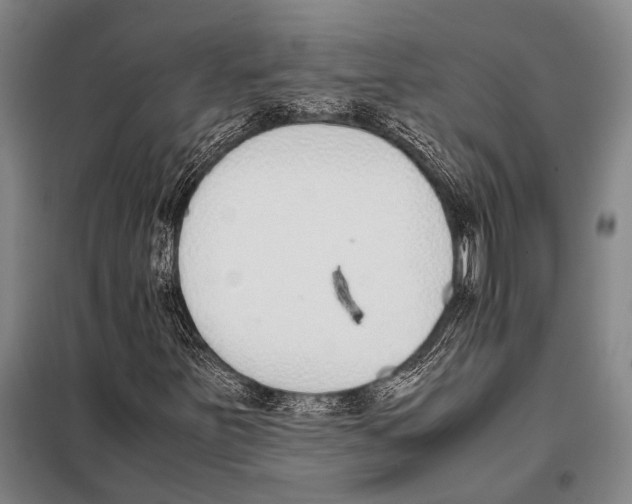 X0000097981251200804211029