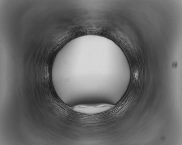 X0000097981252200804211029