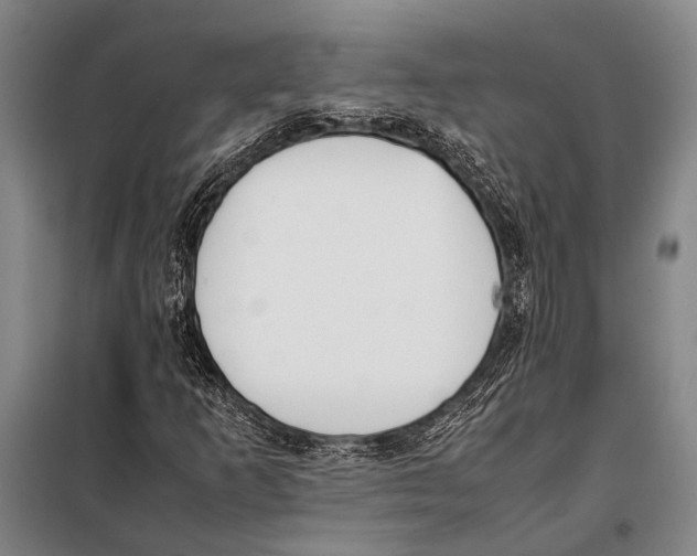 X0000097981253200804211029