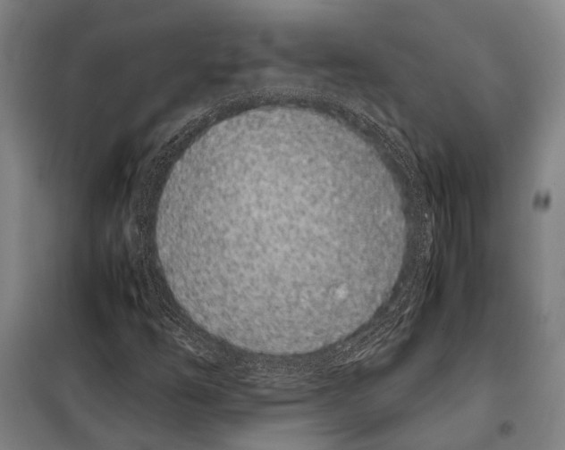 X0000097981254200804211029