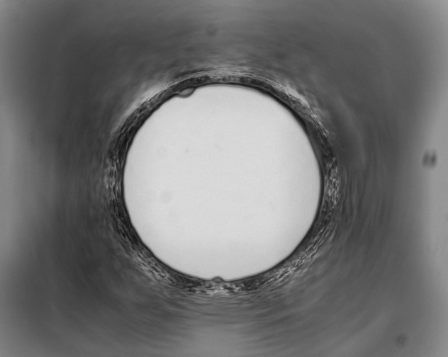 X0000097981255200804211029