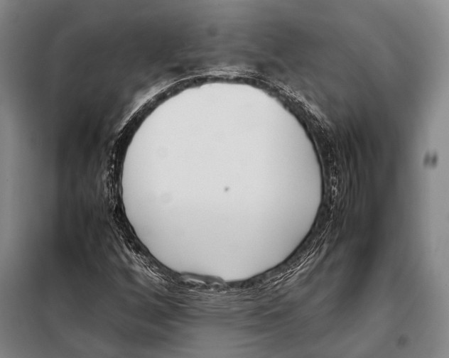 X0000097981256200804211029