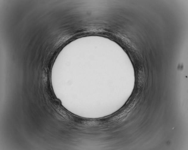 X0000097981257200804211029