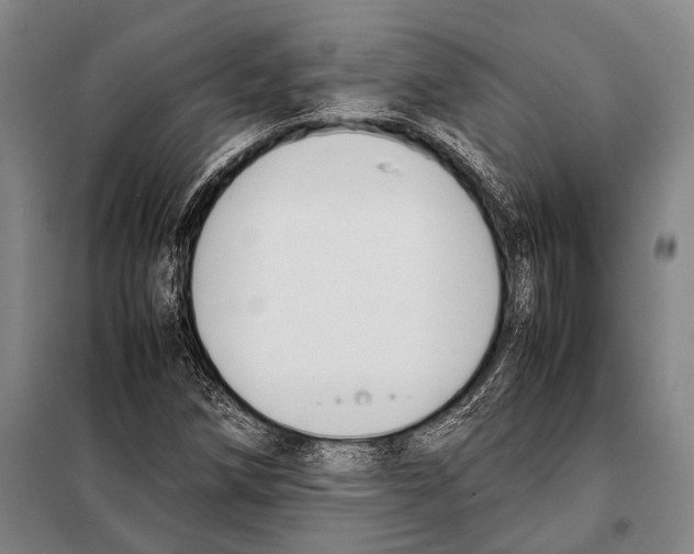 X0000097981258200804211029