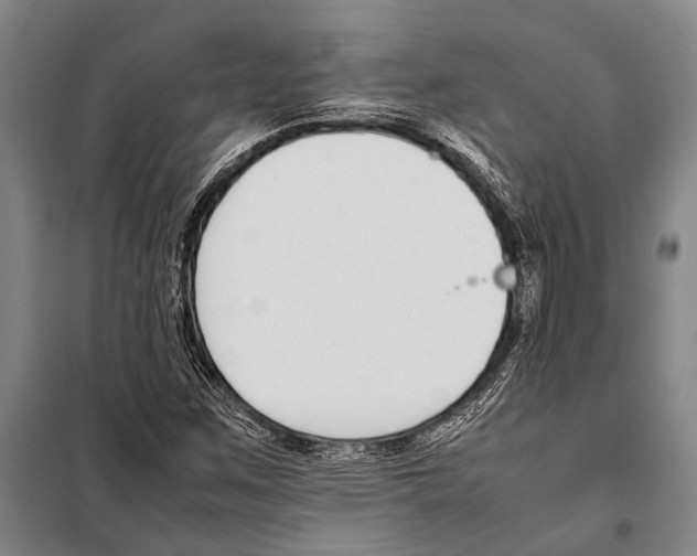 X0000097981259200804211029